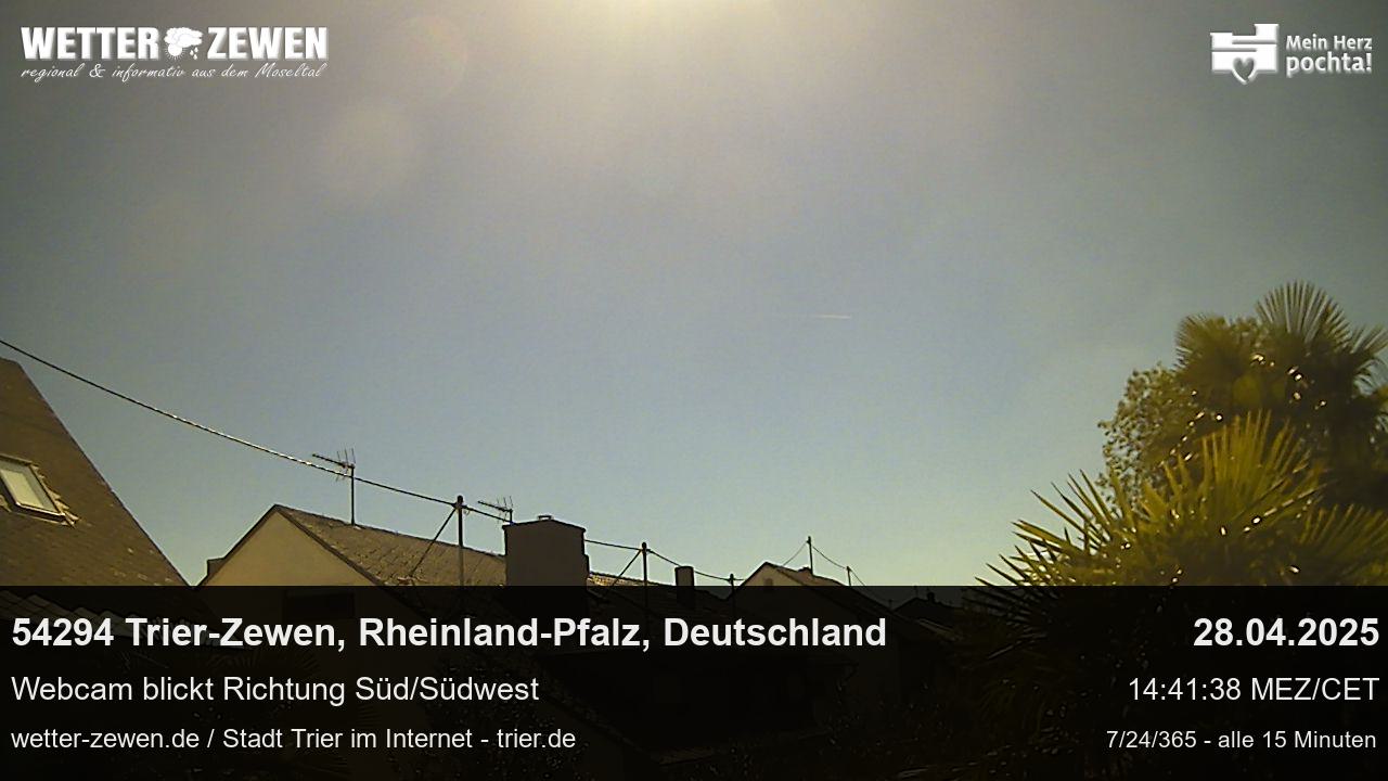 Bild