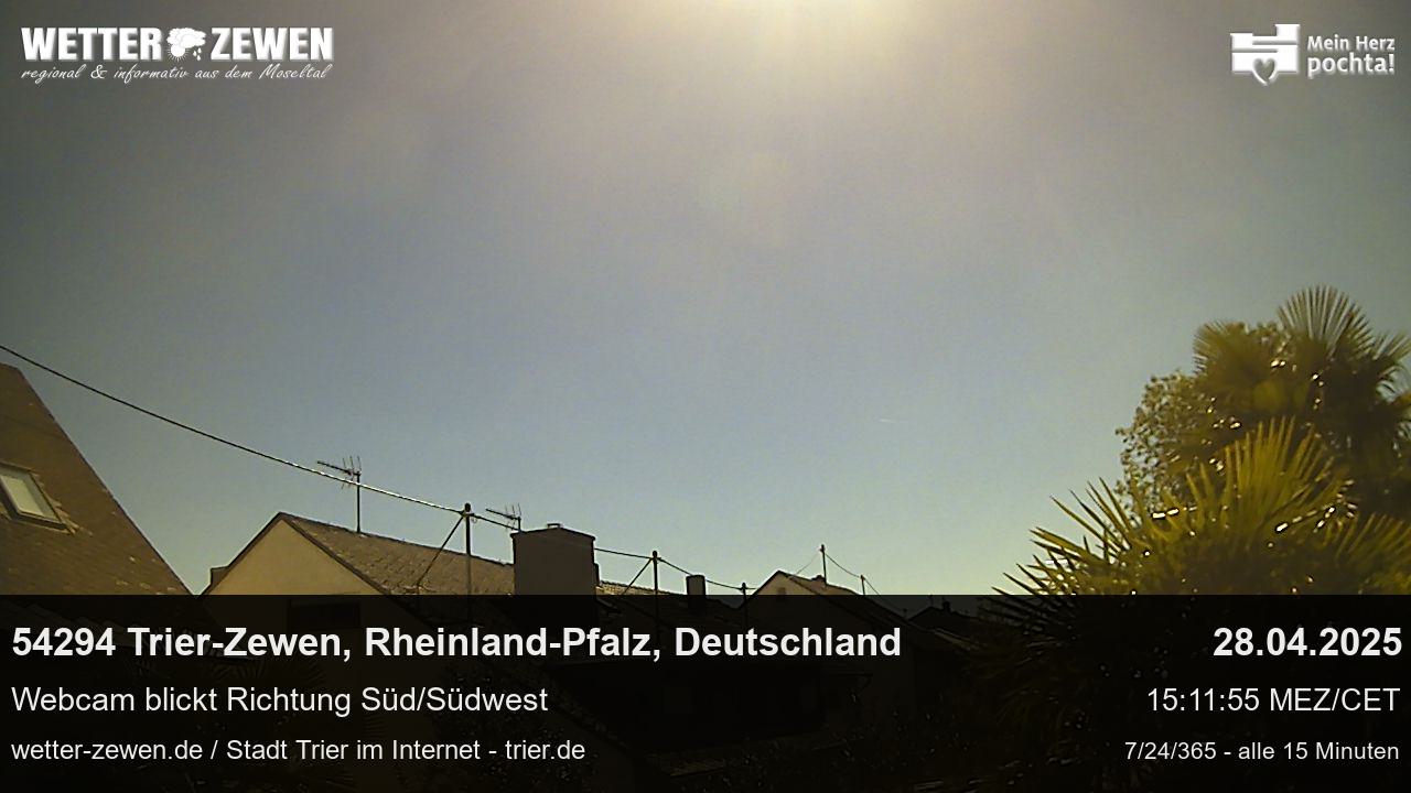Bild