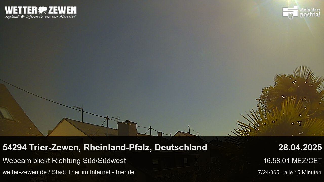 Bild