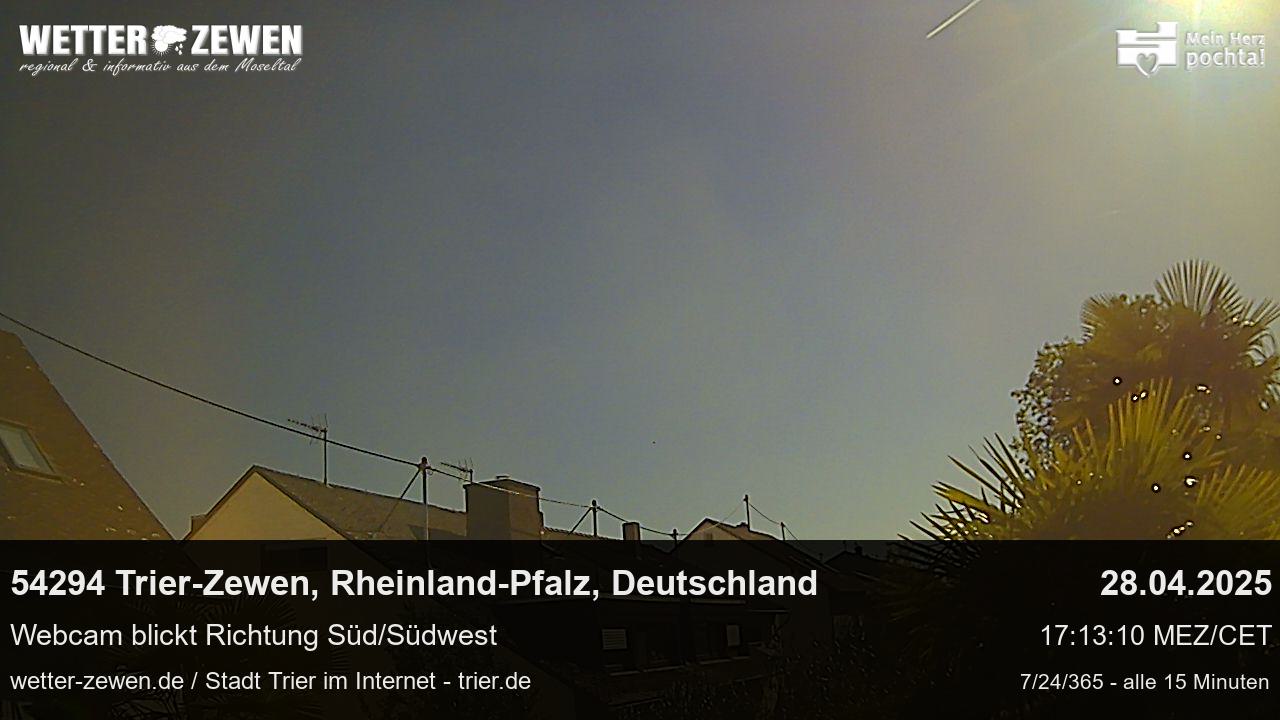 Bild