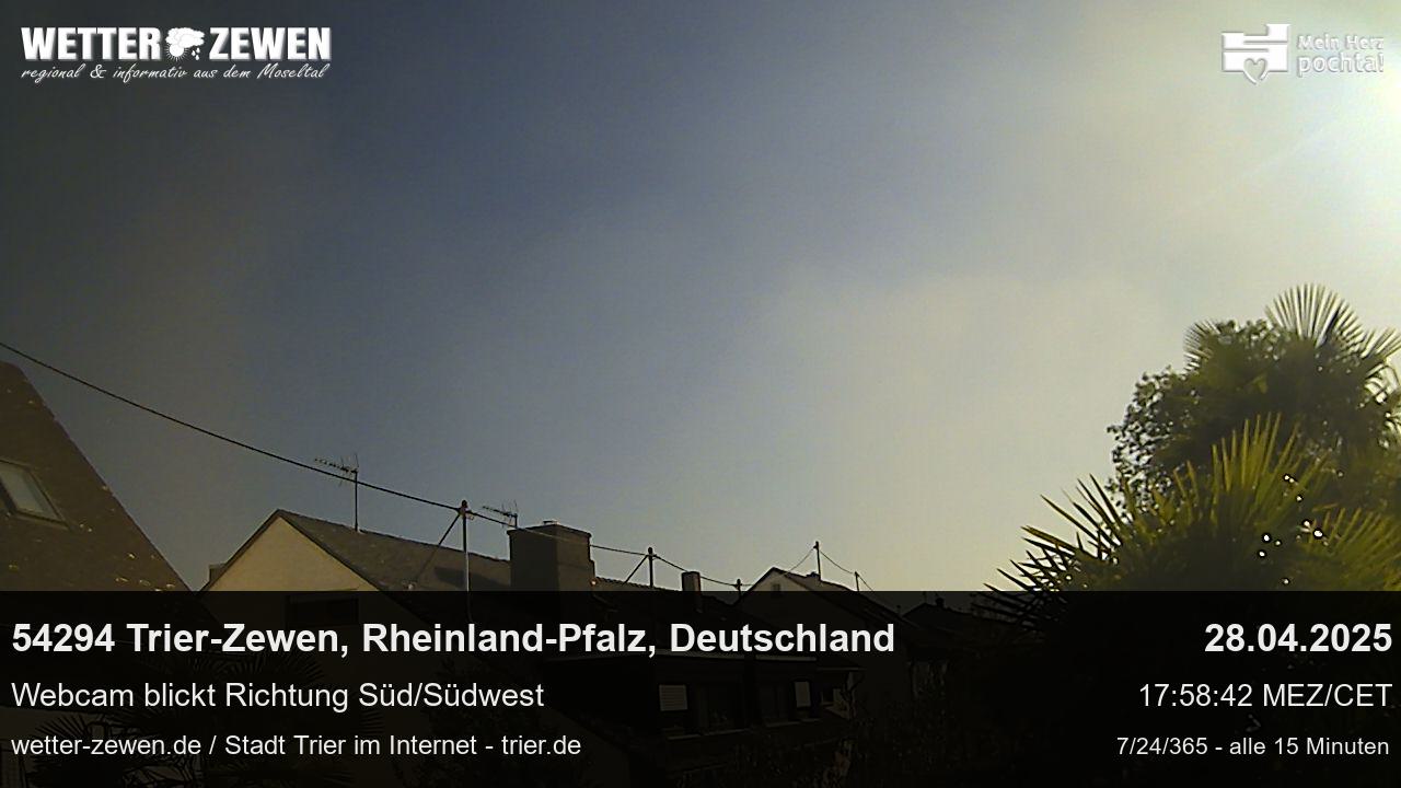 Bild
