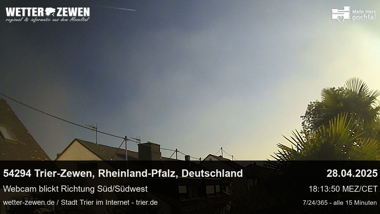 Bild