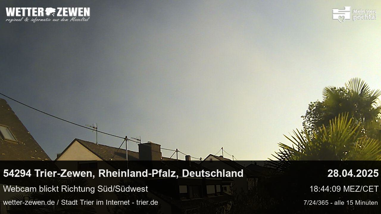 Bild