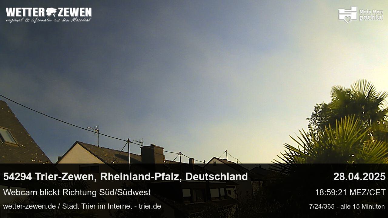 Bild