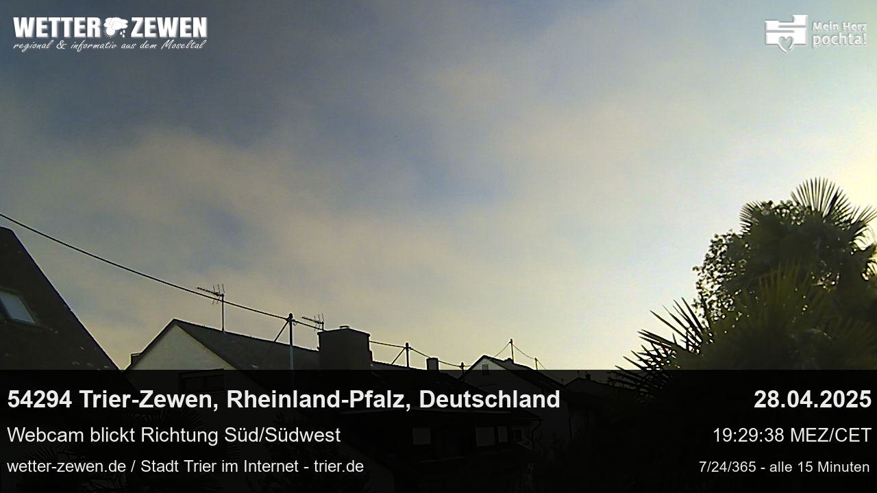 Bild