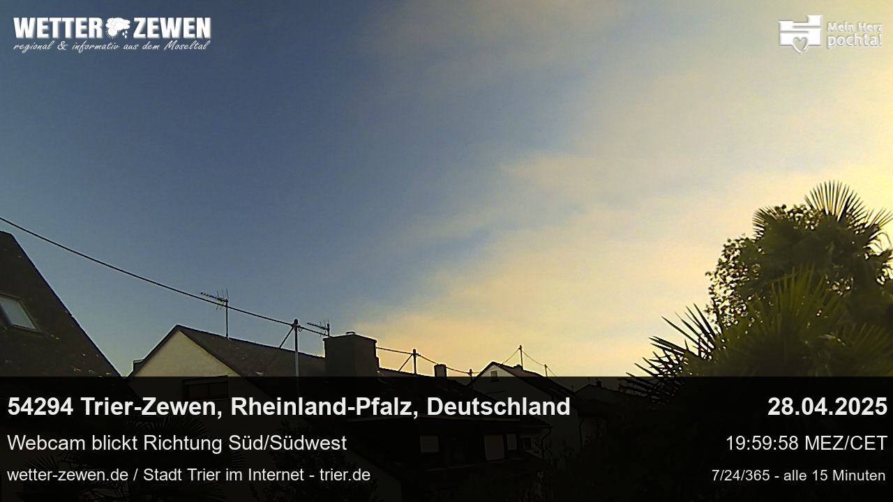 Bild