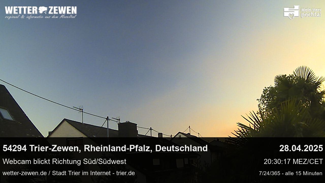 Bild