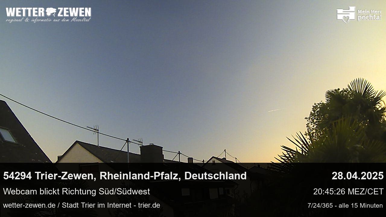 Bild