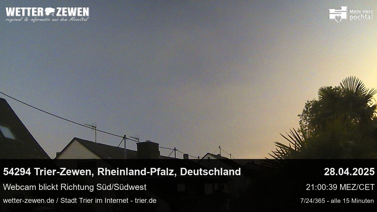 Bild