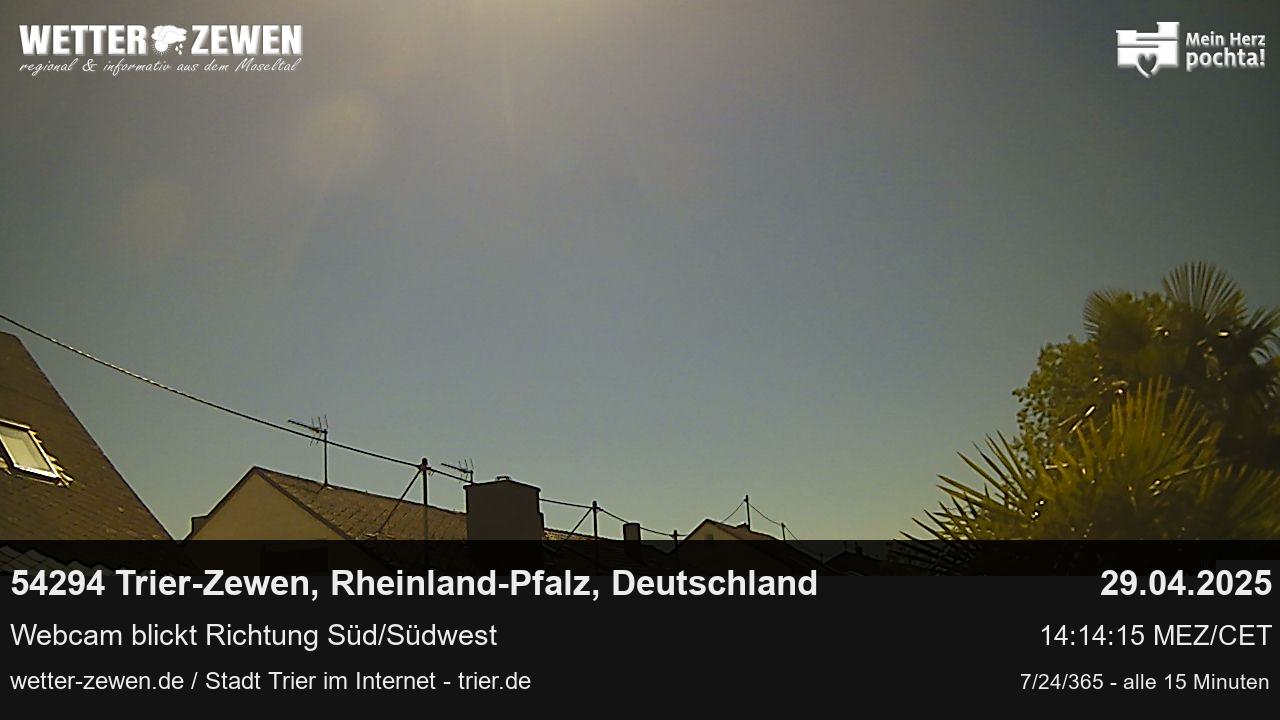 Bild