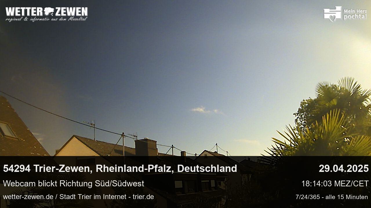 Bild