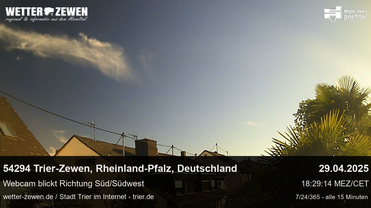 Bild