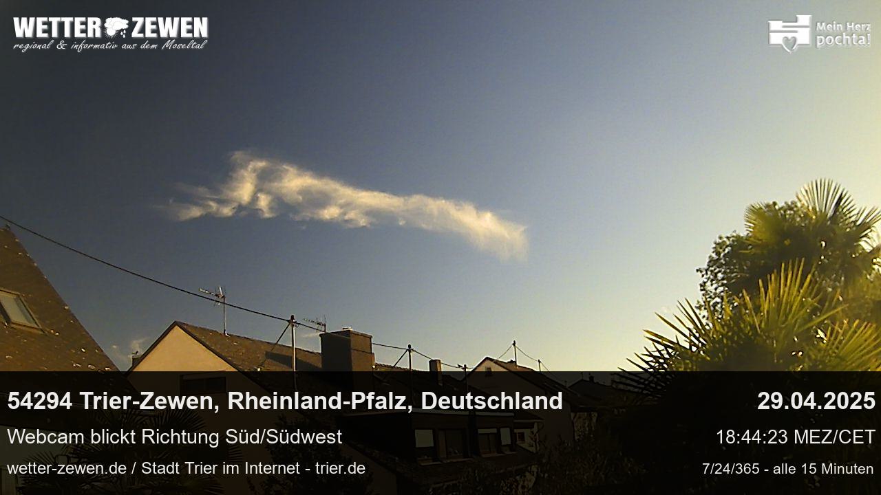 Bild