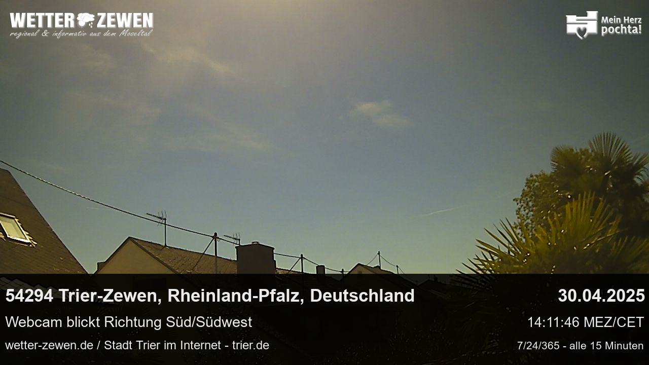 Bild