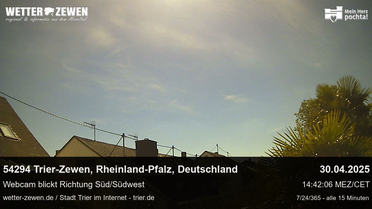 Bild