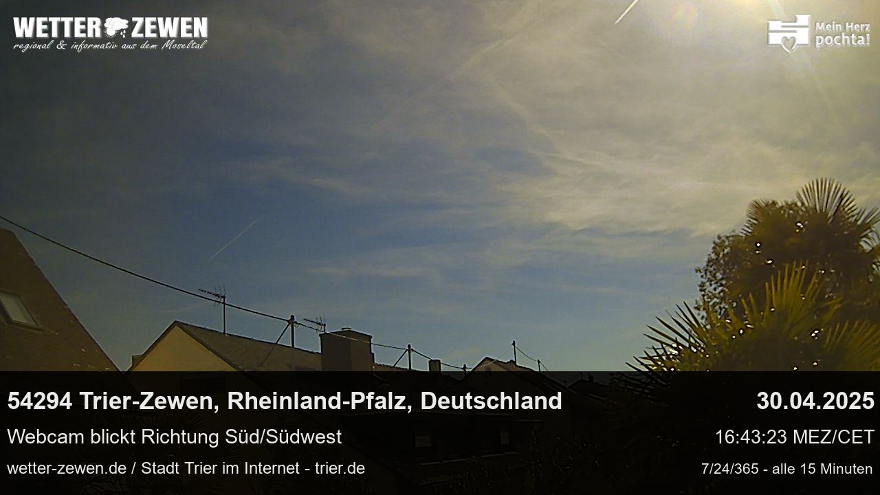 Bild