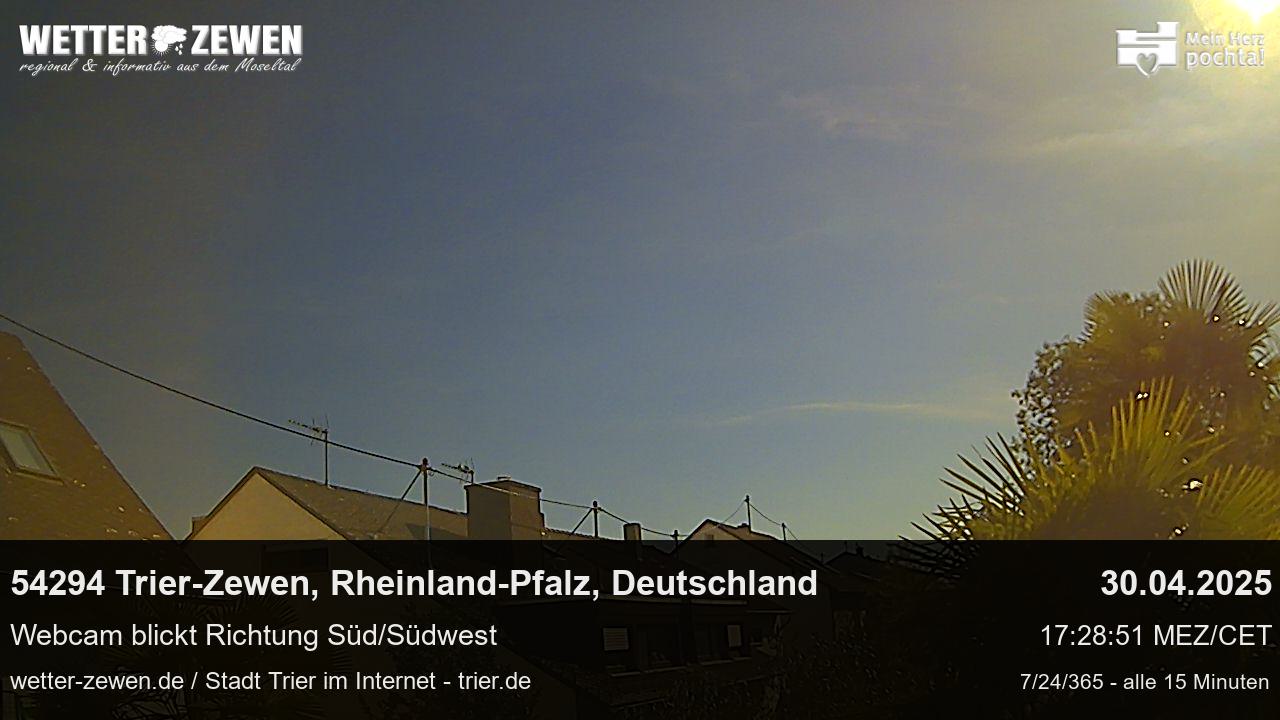 Bild