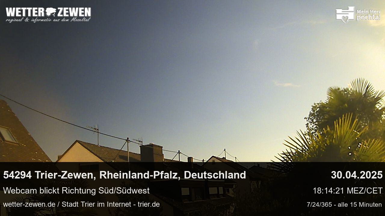 Bild