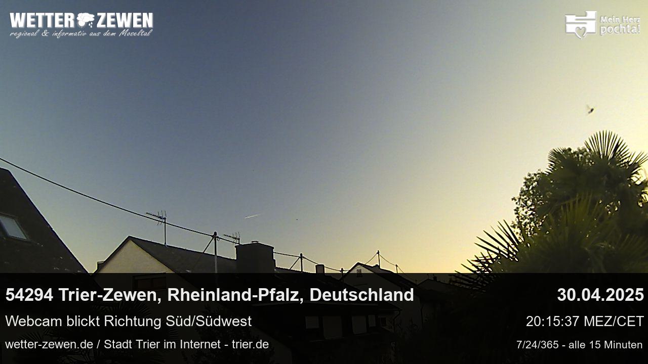 Bild