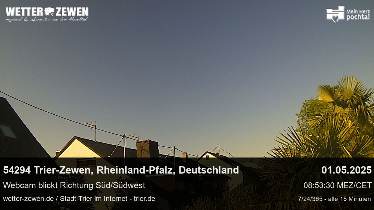 Bild