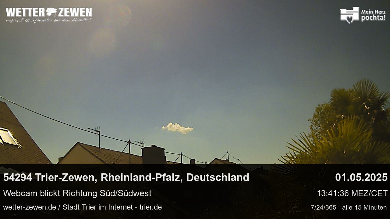 Bild