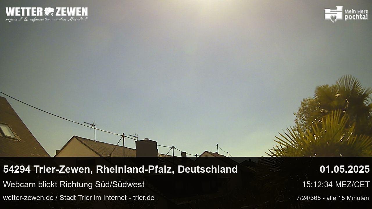 Bild