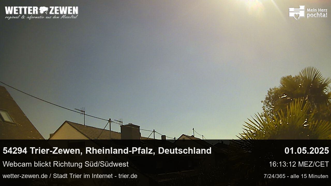 Bild