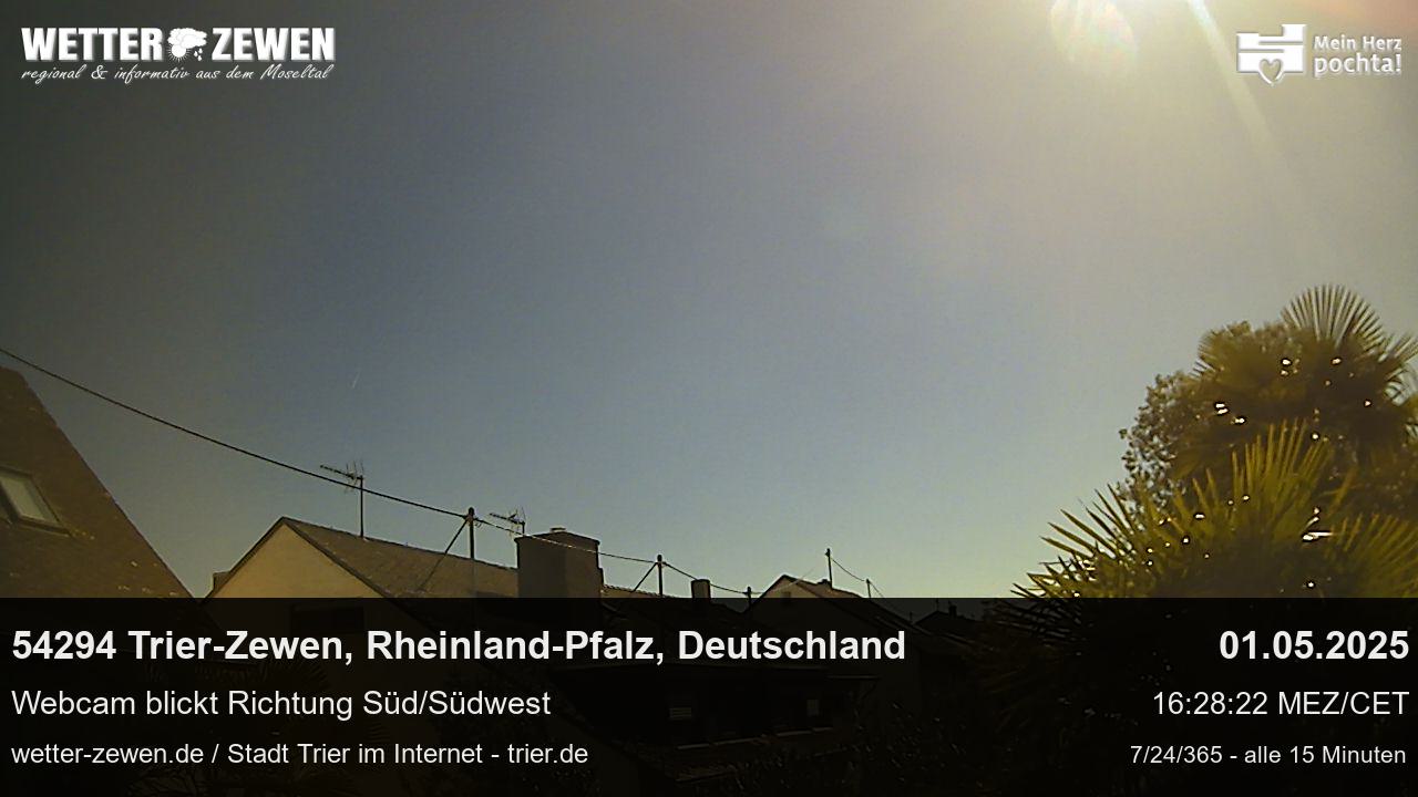 Bild