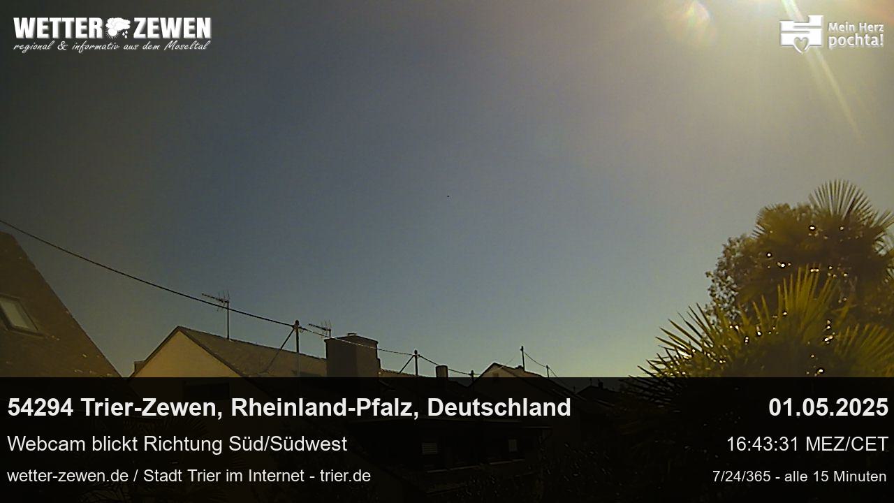 Bild