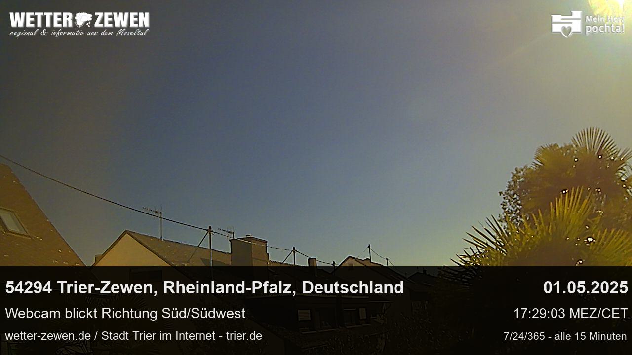 Bild