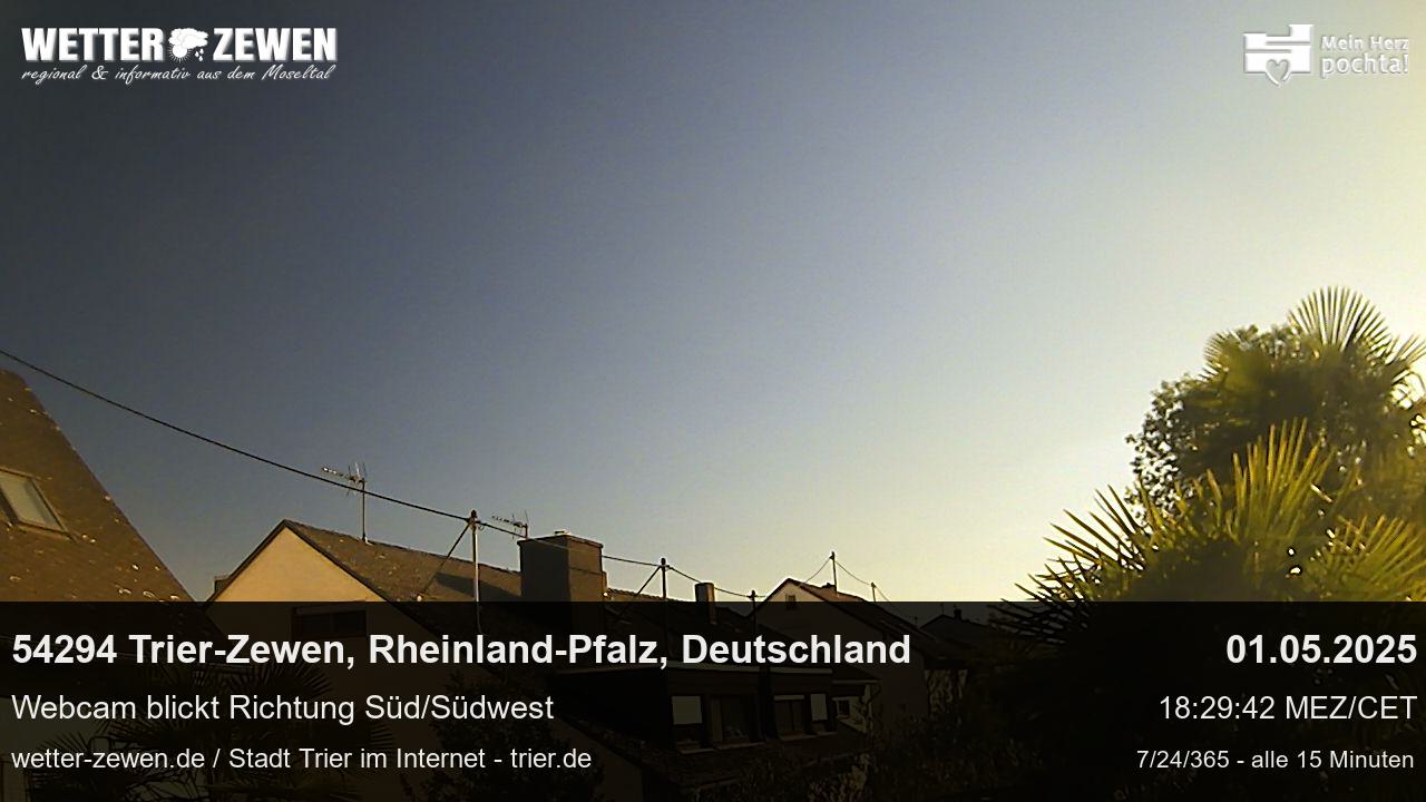 Bild