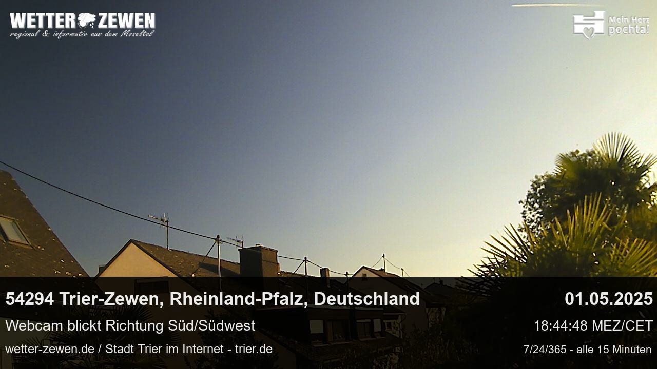 Bild