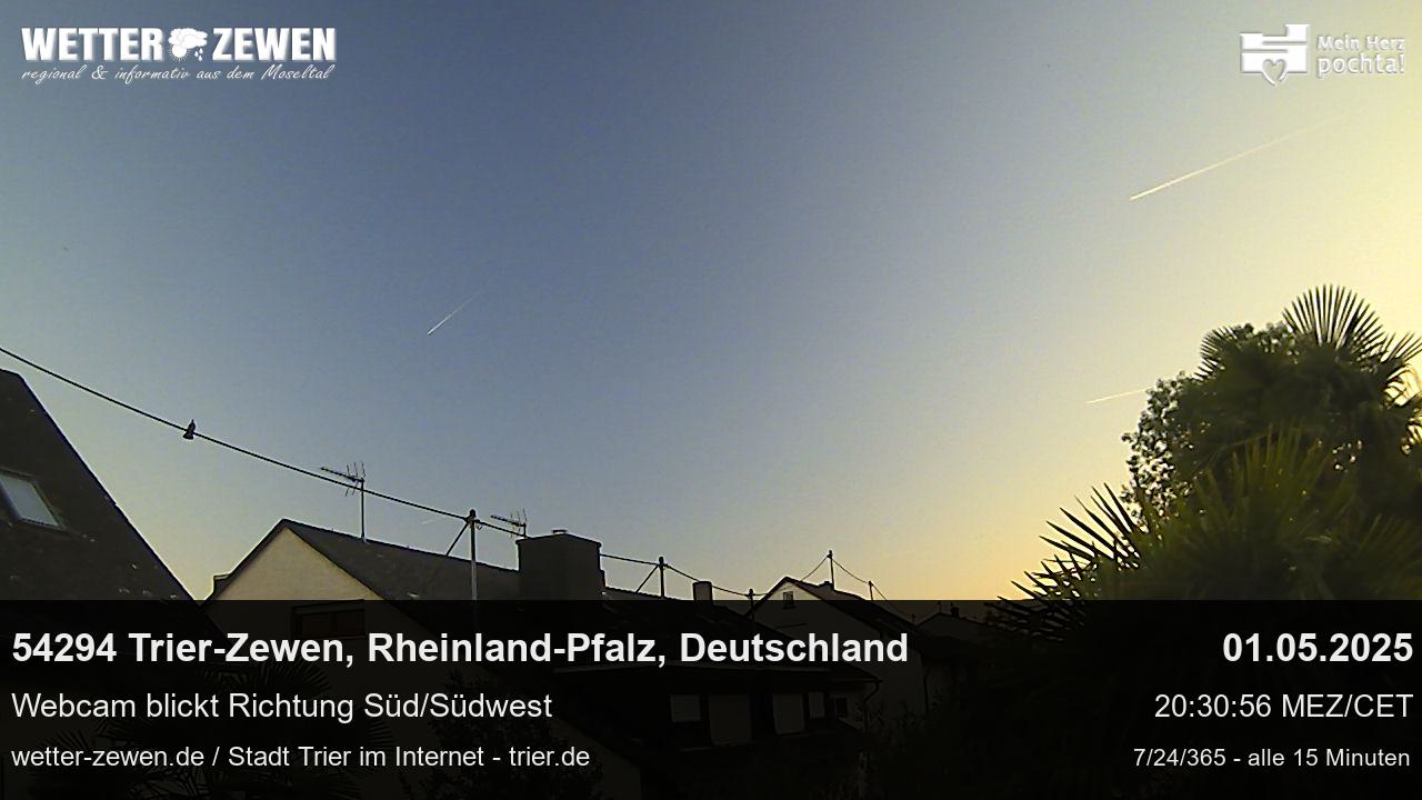 Bild