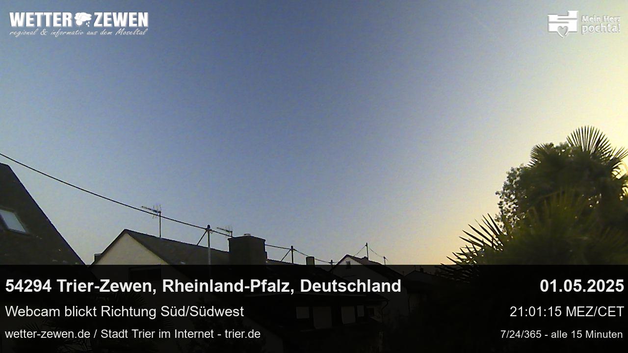 Bild