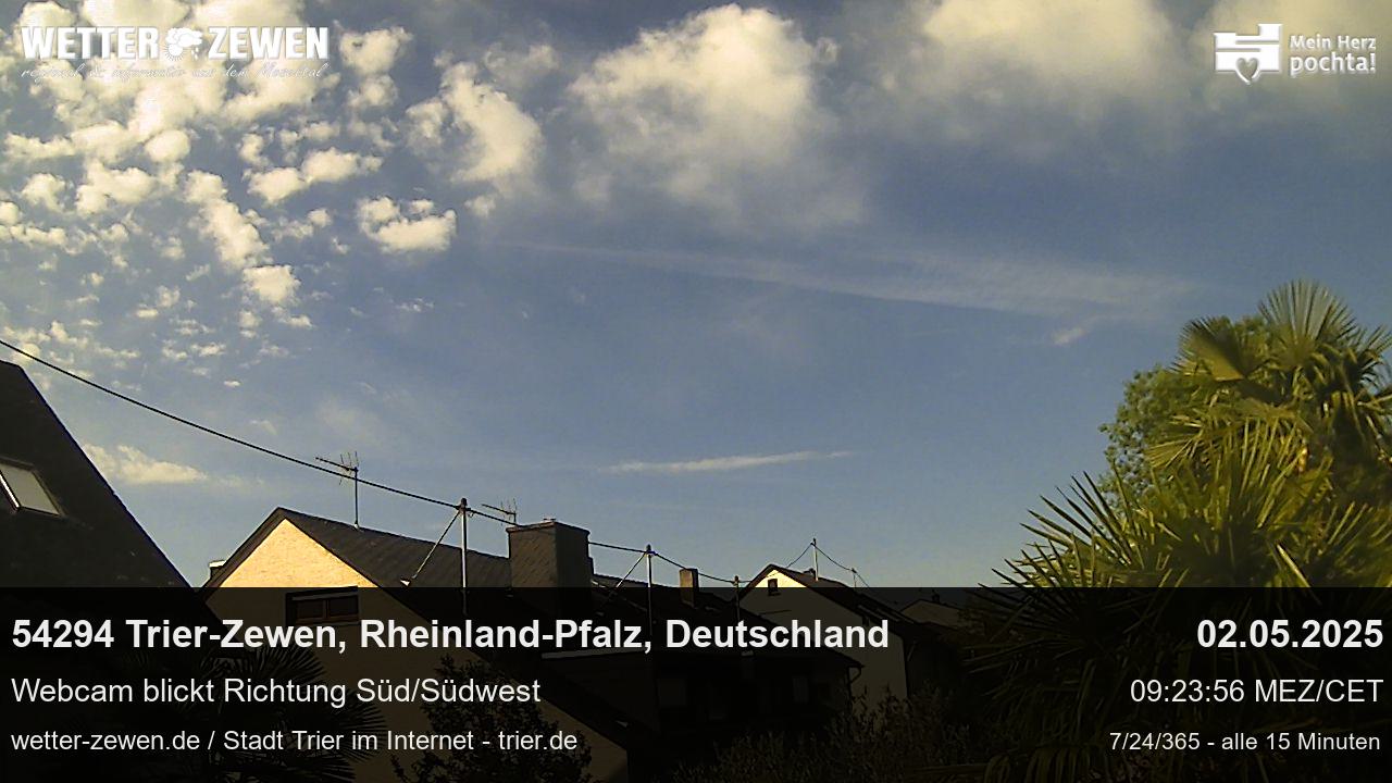 Bild