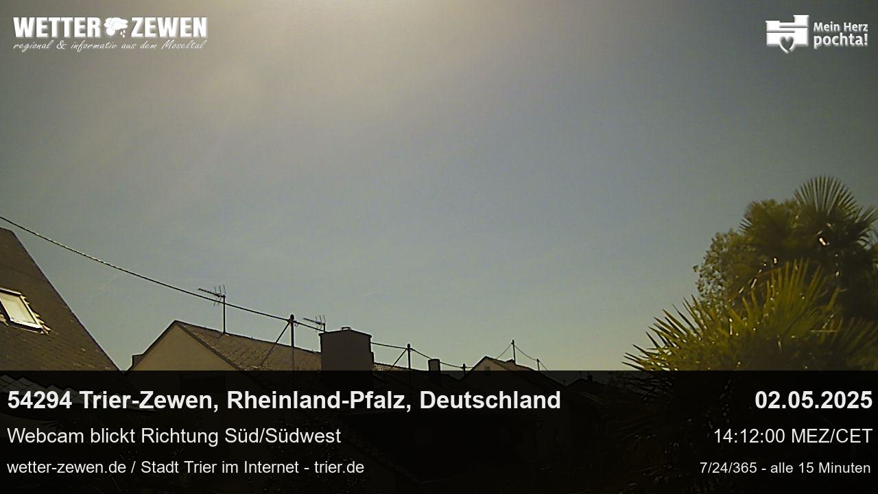 Bild