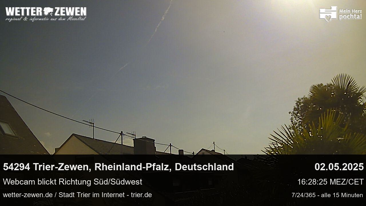 Bild