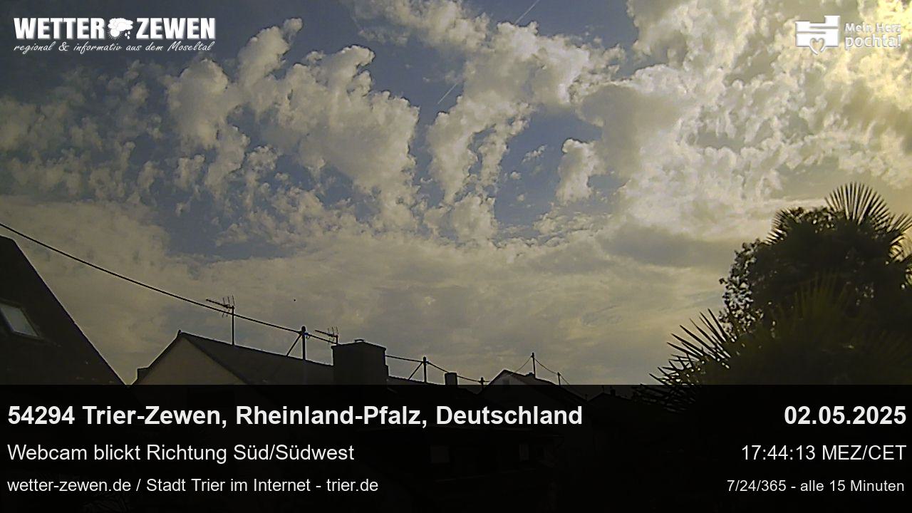 Bild