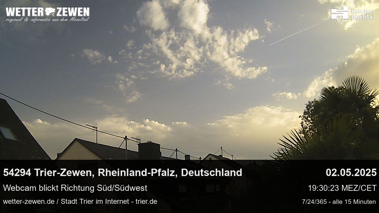 Bild