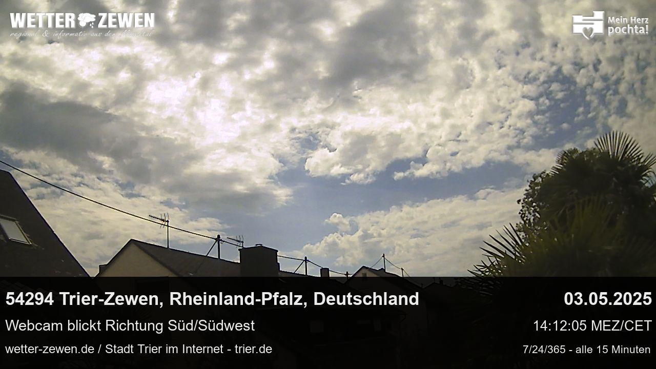 Bild