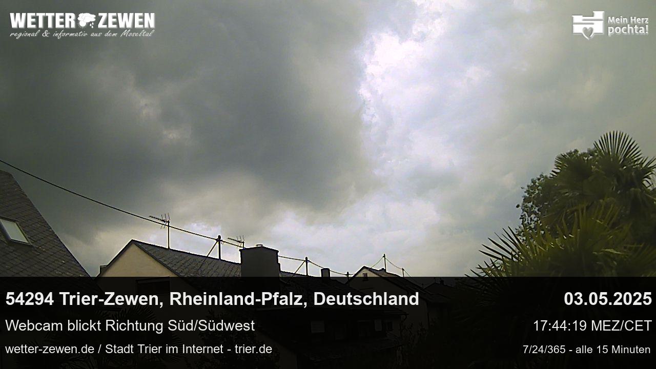 Bild