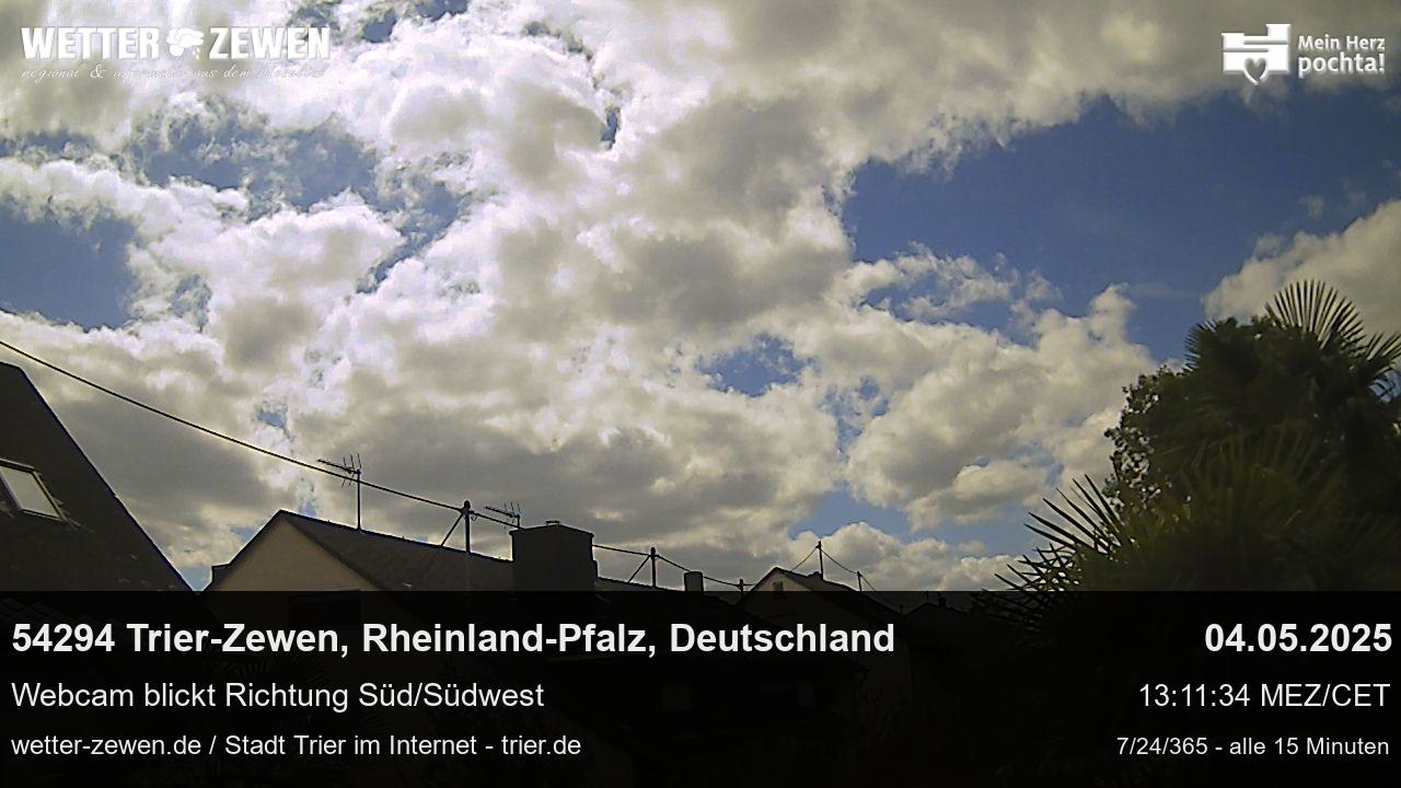 Bild