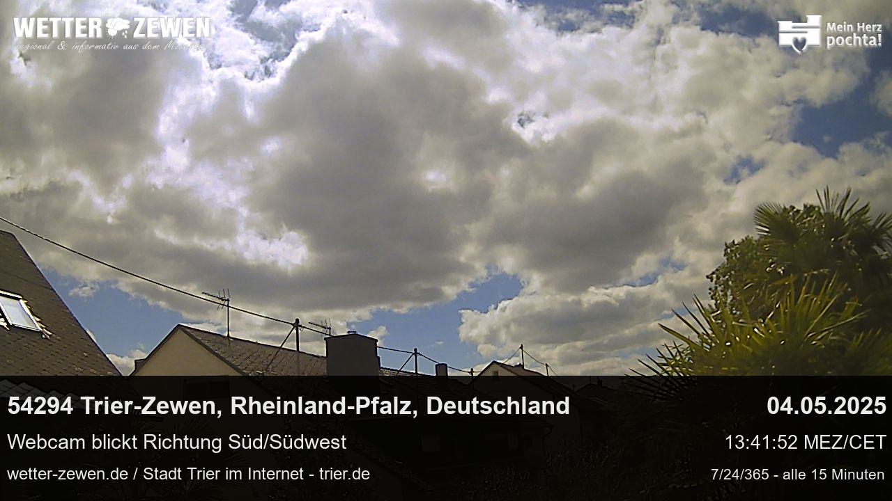 Bild