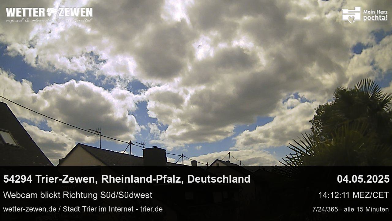 Bild