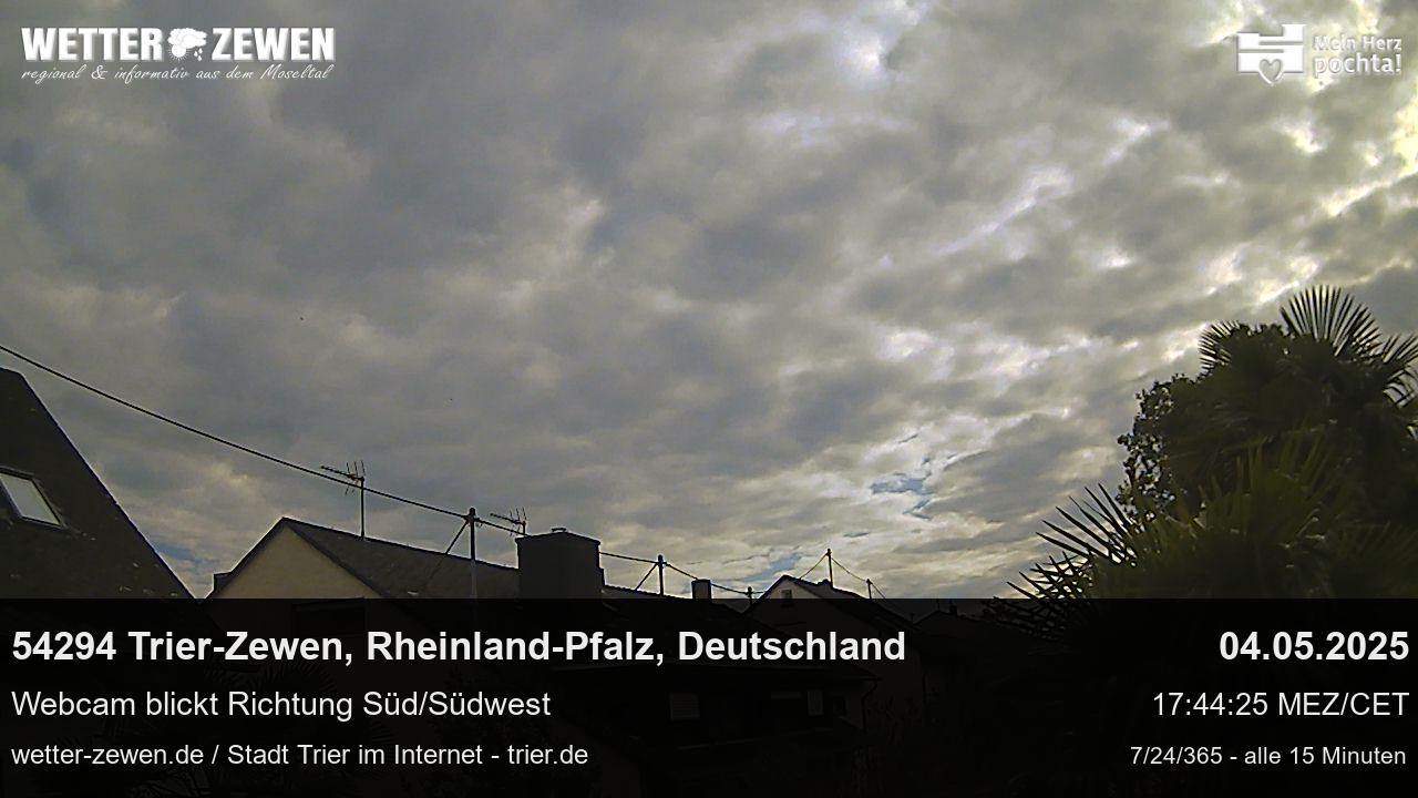 Bild