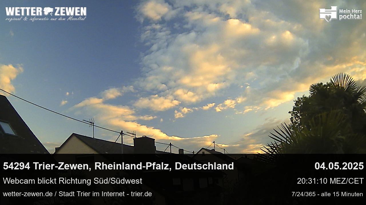 Bild