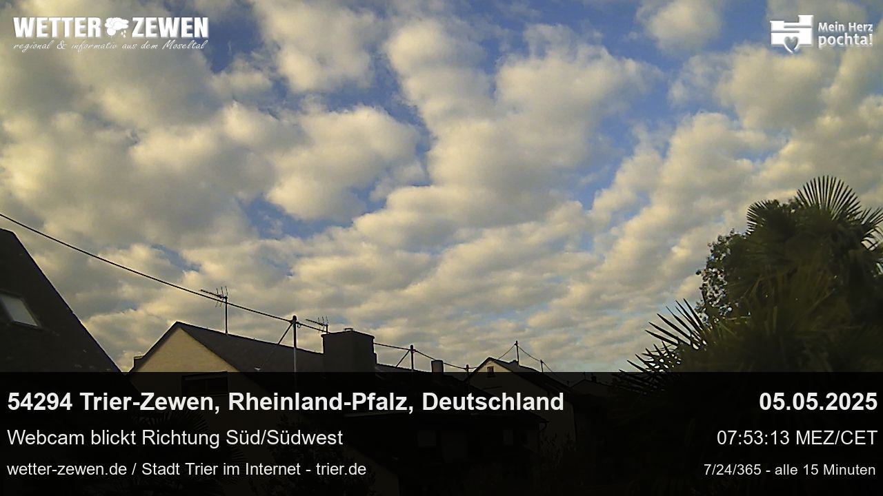 Bild