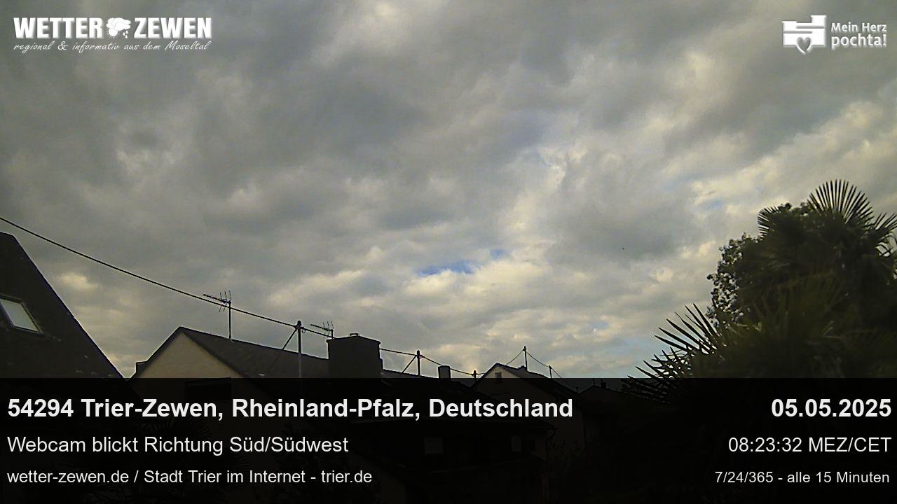 Bild