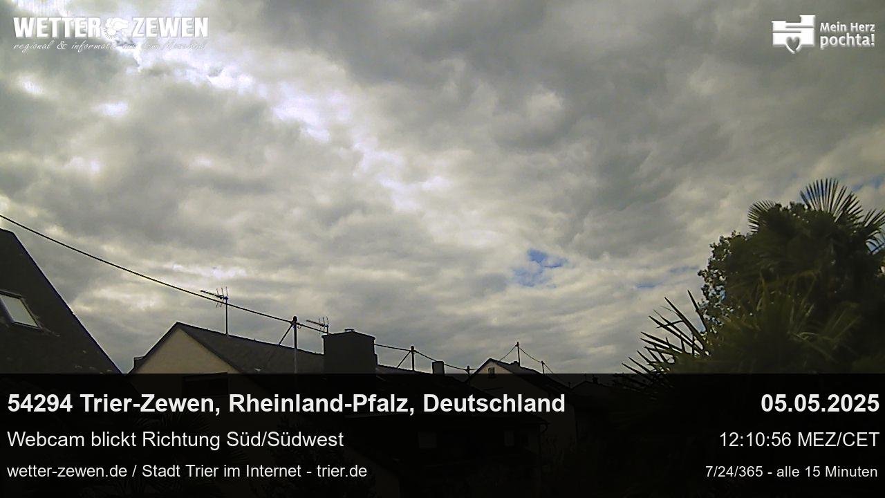 Bild