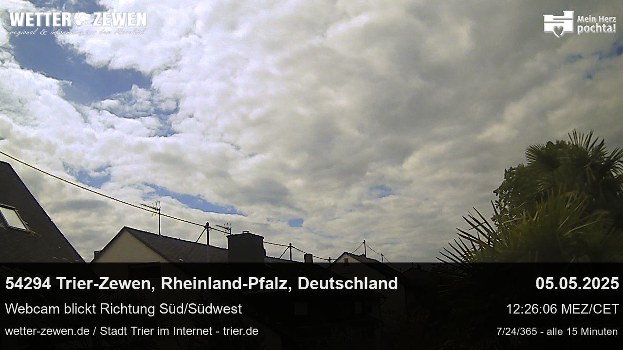Bild